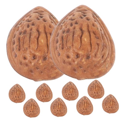 FRCOLOR 10 Stück Teiliges Künstliche Mandeln Realistische Dekoration Deko Nussmodelle Plastikgetrocknete Früchte Fotorequisiten für Zuhause Party Display FRCOLOR 10 Stück Teiliges Künstliche Mandeln Realistische Dekoration Deko Nussmodelle Plastikgetrocknete Früchte Fotorequisiten für Zuhause Party Display von FRCOLOR