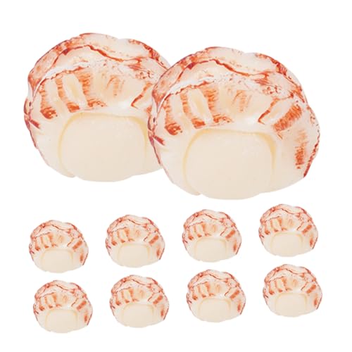 FRCOLOR 10 Stück Teiliges Realistische Miniatur Scallop Fleisch Lebensmittelmodell Lebensechte Nachbildung für Kinderküche DIY Basteln Fantasievolles Rollenspiel und Frühkindliche Bildung von FRCOLOR
