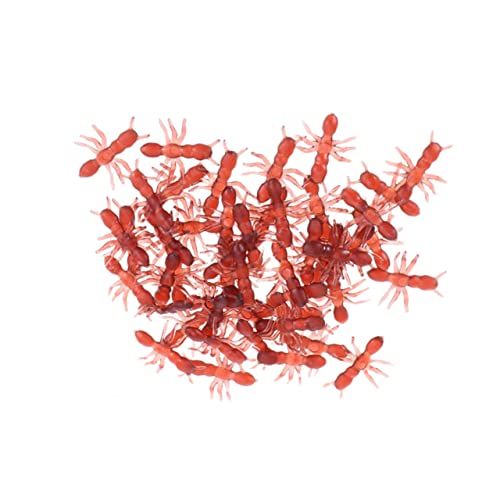FRCOLOR 100 Stück Kunststoff Fake Ameisen Kreatives Streichspielzeug für Halloween und Partys Realistische Simulation von Insekten für Unvergessliche Dekorationen FRCOLOR 100 Stück Kunststoff Fake Ameisen Kreatives Streichspielzeug für Halloween und Partys Realistische Simulation von Insekten für Unvergessliche Dekorationen von FRCOLOR