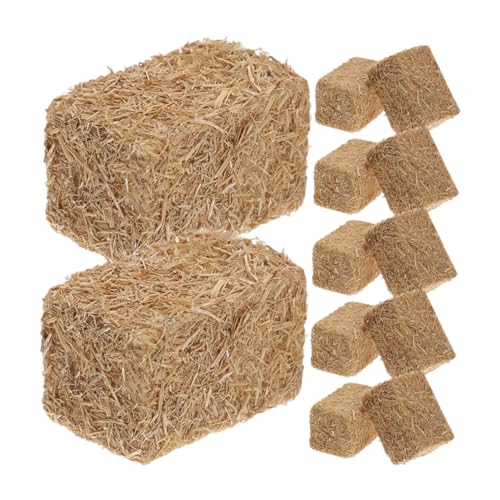 FRCOLOR 12 Stück Miniatur Heuballen Realistische Simulation für Puppenhäuser DIY Landschaften Mini Farm Dekoration Perfektes Zubehör für Hochzeiten und Valentinstag von FRCOLOR