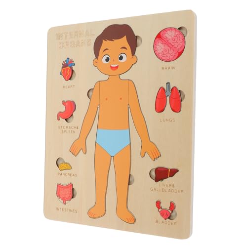 FRCOLOR 1Satz Bildungsorgane Puzzle für Holzpuzzle zur des Menschlichen Körpers Fördert Kognitive Fähigkeiten und Verständnis für Innere als für Jungen FRCOLOR 1Satz Bildungsorgane Puzzle für Holzpuzzle zur des Menschlichen Körpers Fördert Kognitive Fähigkeiten und Verständnis für Innere als für Jungen von FRCOLOR