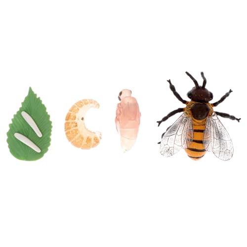 FRCOLOR 1Satz Insektenlebenszyklus Modellset Teiliges Lernspielzeug für Miniatur Insekten Display mit Detaillierten für Schulprojekte und Kreative Spiele Langlebig von FRCOLOR