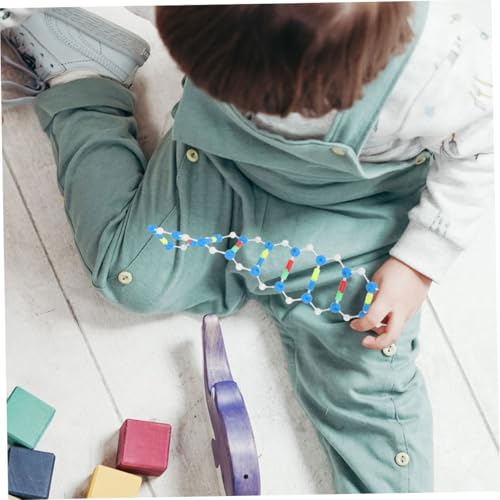 FRCOLOR 2 Stück DNA Doppelhelix Strukturmodell Teiliges Selbstmontage Molekülmodell für Biologie Unterricht Lernen Chemie Modell Wissenschaftliches Lehrinstrument FRCOLOR 2 Stück DNA Doppelhelix Strukturmodell Teiliges Selbstmontage Molekülmodell für Biologie Unterricht Lernen Chemie Modell Wissenschaftliches Lehrinstrument von FRCOLOR