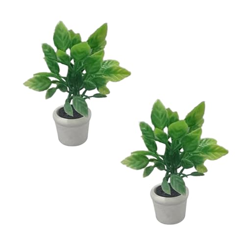 FRCOLOR 2 Stück Miniatur Bonsai Künstliche Topfpflanze für Puppenhaus Dekoration Realistische Pflanzenaccessoires für Diorama und DIY Bastelprojekte FRCOLOR 2 Stück Miniatur Bonsai Künstliche Topfpflanze für Puppenhaus Dekoration Realistische Pflanzenaccessoires für Diorama und DIY Bastelprojekte von FRCOLOR