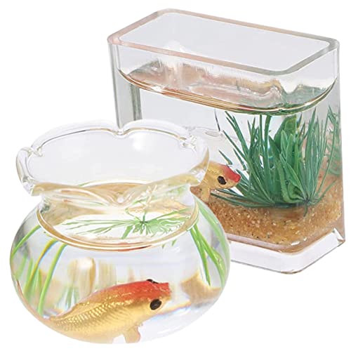 FRCOLOR 2 Stück Miniatur Fischglas Teilig Miniatur Aquarium Modelle aus und Kunststoff Dekoratives Puppenhaus Zubehör Realistische Mini Fischschalen für Wohn und Zufällige Zufällige Farbe FRCOLOR 2 Stück Miniatur Fischglas Teilig Miniatur Aquarium Modelle aus und Kunststoff Dekoratives Puppenhaus Zubehör Realistische Mini Fischschalen für Wohn und Zufällige Zufällige Farbe von FRCOLOR