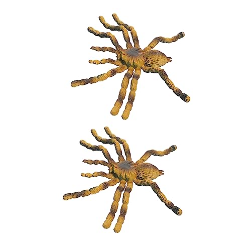FRCOLOR 2 Stück Pädagogische Tarantula Modelle Dekoratives Spinnen für Lernspielzeug über Insekten und von FRCOLOR