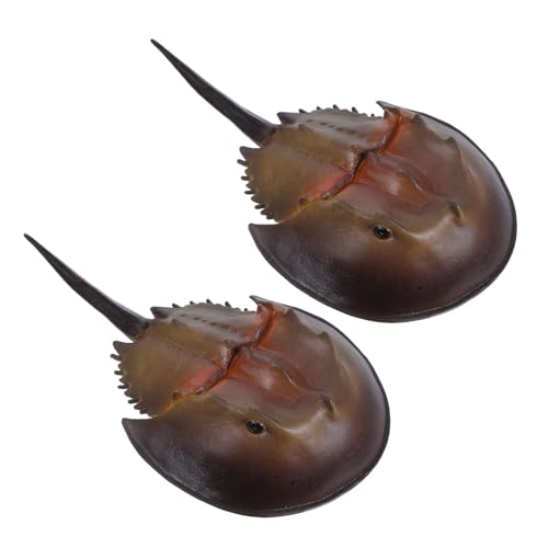 FRCOLOR 2 Stück Teiliges Realistische Plastik Krabbenfiguren Detailgetreue Meeresbewohner für Leichtes Lebensechtes Tier Modell für Indoor Sandkasten und Aquarium Dekor FRCOLOR 2 Stück Teiliges Realistische Plastik Krabbenfiguren Detailgetreue Meeresbewohner für Leichtes Lebensechtes Tier Modell für Indoor Sandkasten und Aquarium Dekor von FRCOLOR