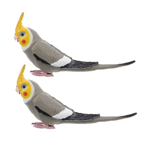 FRCOLOR 2 Stücke Simulierte Vogel Dekoration aus Harz für Terrarium Garten und Mikro Landschaft für Naturerziehung und Vielseitige Dekoration FRCOLOR 2 Stücke Simulierte Vogel Dekoration aus Harz für Terrarium Garten und Mikro Landschaft für Naturerziehung und Vielseitige Dekoration von FRCOLOR
