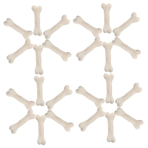 FRCOLOR 20 Stück Teiliges Mini Knochenmodell aus Resin Realistische Kleine Hundeknochen für Bastelarbeiten Hausfiguren und Halloween Dekoration Detailgetreu für Kreative DIY Projekte und von FRCOLOR