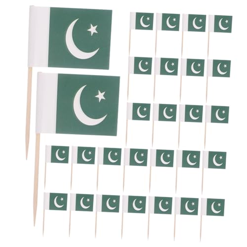 FRCOLOR 200 Stück Pakistanische Zahnstocherflagge Mini-Stick-Cupcake-Topper Pakistan Zahnstocher verschiedene länder zahnstocher flagge Cupcake-Topper-Flagge Fruchtstab Papier Grün von FRCOLOR