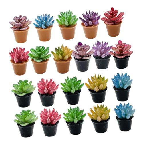 FRCOLOR 24 Stück Teiliges Miniatur Blumentopf mit Künstlichen Sukkulenten aus Resin Realistische Mini Pflanzen für DIY Puppenhaus Kreative Dekorative Miniatur Töpfe für Zuhause Büro und von FRCOLOR