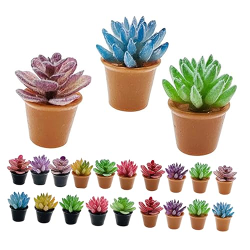 FRCOLOR 24 Stück Teiliges Miniatur Sukkulenten Künstliche Mini Pflanzen Realistische Resin Blumentöpfe Kreative Dekorative Figuren Pflegefreie Mini Deko für Puppenhäuser und DIY Gärten von FRCOLOR