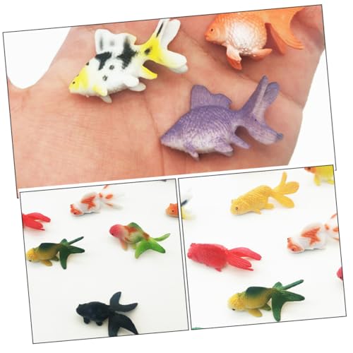FRCOLOR 24 Stück Teiliges Realistischer PVC Goldfischmodelle Detailgetreue Miniatur Fischfiguren Lebensnahe Dekoration für Puppenhäuser Aquarien und Meereslebewesen Sammlungen Kompakt und von FRCOLOR