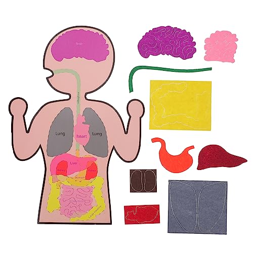 FRCOLOR 3 Sätze Teiliges DIY Lernspielzeug Kreative Bastelset für Pädagogisches und Eltern Junge Mädchen Interaktion Sicher und FRCOLOR 3 Sätze Teiliges DIY Lernspielzeug Kreative Bastelset für Pädagogisches und Eltern Junge Mädchen Interaktion Sicher und von FRCOLOR