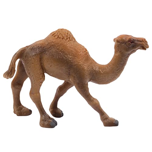FRCOLOR 3 Stck Simulation Kamel Figur Lernspielzeug Glatte Oberfläche Langlebig Pädagogisch für Dioramen und Tiererkennung Geeignet von FRCOLOR