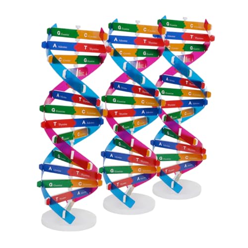FRCOLOR 3stücke DNA Modell DIY DNA Bausatz Für Doppelhelix Molekül Modellbausatz Biologie Lernhilfe Für Experimente Im Klassenzimmer von FRCOLOR