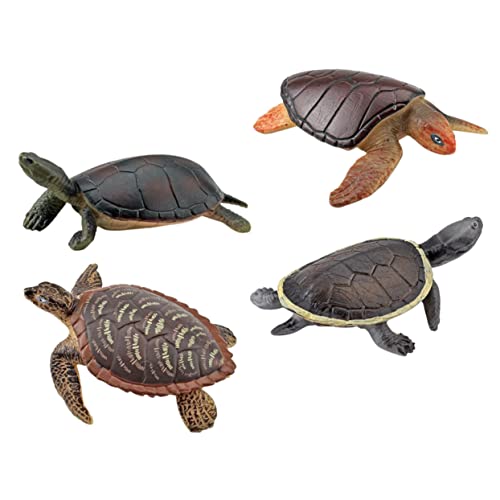 FRCOLOR 4 Stück Realistisches Schildkrötenmodell Teiliges aus Kunststoff Detailgetreues Schildkröten und Dekoration für Lernspielzeug und Meeres Themenparty Zubehör von FRCOLOR