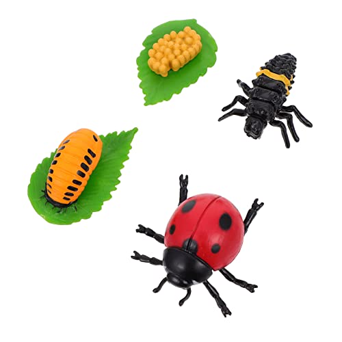 FRCOLOR 4 Stück Teiliges Insektenfiguren Lebenszyklus der Marienkäfer Pädagogisches für des Wissens Wachstum Realistische Dekorationen aus Hochwertigem von FRCOLOR