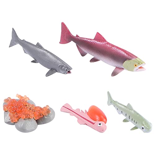 FRCOLOR 4Stücke Teiliges Lachsfigur Bastelset Realistisches Kindergarten Fischmodell Kognitiven Entwicklung von Kindern Lernspielzeug Zufällige Farben FRCOLOR 4Stücke Teiliges Lachsfigur Bastelset Realistisches Kindergarten Fischmodell Kognitiven Entwicklung von Kindern Lernspielzeug Zufällige Farben von FRCOLOR
