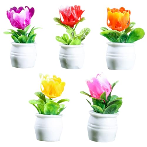FRCOLOR 5 Stück Teiliges Mini Blumentopf aus Resin Realistische Bonsai Ornamente Miniatur Pflanzenmodell für Puppenhaus Garten Deko Regal und Auto Detailgetreu und Langlebig FRCOLOR 5 Stück Teiliges Mini Blumentopf aus Resin Realistische Bonsai Ornamente Miniatur Pflanzenmodell für Puppenhaus Garten Deko Regal und Auto Detailgetreu und Langlebig von FRCOLOR
