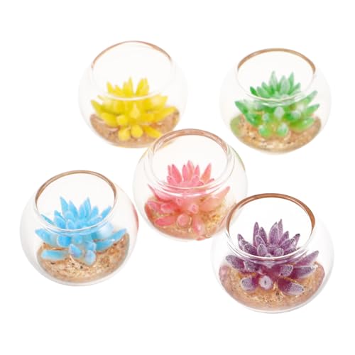 FRCOLOR 5 Stück Teiliges Miniatur Pflanzen mit Realistischen Künstlichen Sukkulenten Farbenfrohe Mini Sukkulenten Töpfe für Puppenhaus DIY Mini Garten Zubehör Vielseitige Dekoration für von FRCOLOR