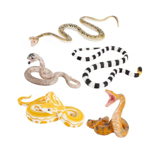 FRCOLOR 5 Stück Teiliges Realistisch Gestaltetes Schlangenmodell Farbenfrohe Simulation Kindersicheres Material Halloween Deko und Lernspielzeug Vielseitig Einsetzbar als Spaß und von FRCOLOR