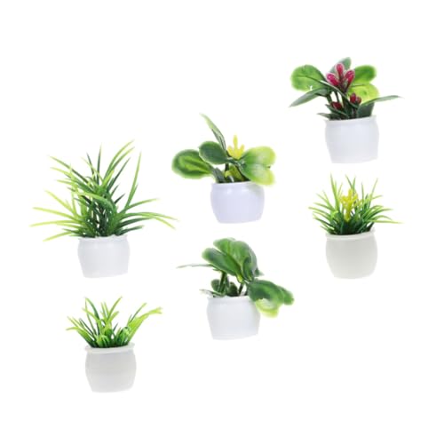 FRCOLOR 6 Stück Mini Pflanzenmodell Teiliges Dekorative Miniaturpflanzen für Puppenhaus und Gartenlandschaft Realistische Pflanzenfiguren aus Kunststoff für Kreative Wohnraumgestaltung von FRCOLOR