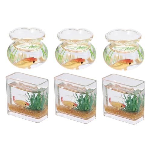 FRCOLOR 6 Stück Miniatur Glas Fischbecken Goldfischschale Miniatur Aquarium Puppenhaus Deko Mini Szenen Modellspielzeug für Lernspielzeug Zufällige Farben Zufällige Farbe von FRCOLOR