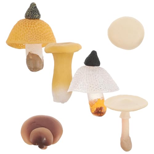 FRCOLOR 6 Stück Simuliertes Gemüsemodell Kinderspiellebensmittel Künstliche Lebensmittel Requisiten Lebensechte Pilz Foto Requisite Kreative Gemüsedekoration Mini Künstliche von FRCOLOR