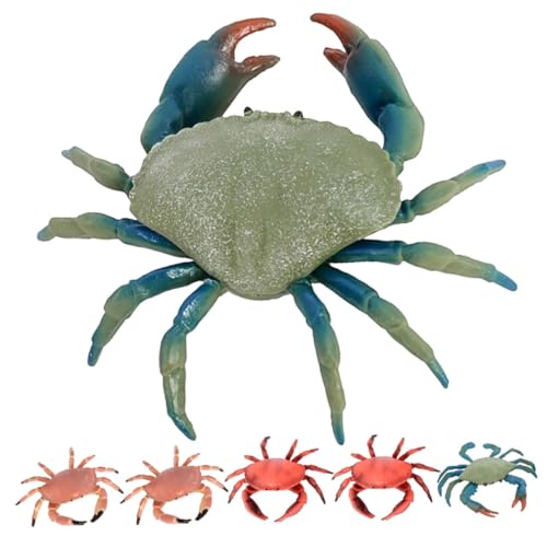 FRCOLOR 6 Stück Teiliges Simulierter Haar krabben Künstliche Meeres tiermodelle Pädagogisches Kreative Eltern Junge Mädchen Spiele und Fantasievolles Lernen von FRCOLOR