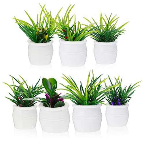 FRCOLOR 7 Stück Teiliges Set Miniatur Bonsai Pflanzen für Puppenhäuser Künstliche Topfpflanzen Deko für Mikro Landschaften Sandtisch Modelle Langlebige Geruchlose Pflanzen aus Sicherem FRCOLOR 7 Stück Teiliges Set Miniatur Bonsai Pflanzen für Puppenhäuser Künstliche Topfpflanzen Deko für Mikro Landschaften Sandtisch Modelle Langlebige Geruchlose Pflanzen aus Sicherem von FRCOLOR