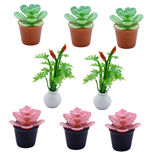 FRCOLOR 8 Stück Miniatur Pflanzen Künstliche Topfpflanzen für Puppenhaus Dekoration Realistische Bonsai Mini Garten Accessoires Bunte Sukkulenten für Mikrolandschaften von FRCOLOR