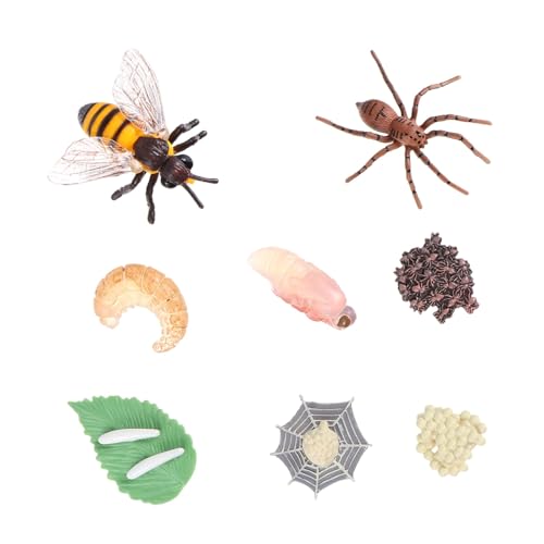 FRCOLOR 8 Stück Teiliges Insektenmodell Kunststoff Realistische Simulation von Bienen und Spinnen Lebenszyklus Lernspielzeug für Natürliche Wissenschaftserziehung und Dekoration von FRCOLOR