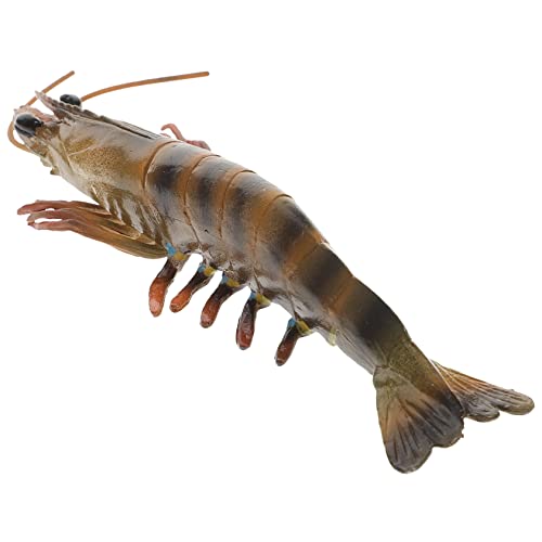 FRCOLOR Bildungsspielzeug Shrimps aus Kunststoff Lustiges Kinderspielzeug für Kinderaccessoires Realistische Dekoration für Partys und Aquarien für Kreative Spielmomente FRCOLOR Bildungsspielzeug Shrimps aus Kunststoff Lustiges Kinderspielzeug für Kinderaccessoires Realistische Dekoration für Partys und Aquarien für Kreative Spielmomente von FRCOLOR