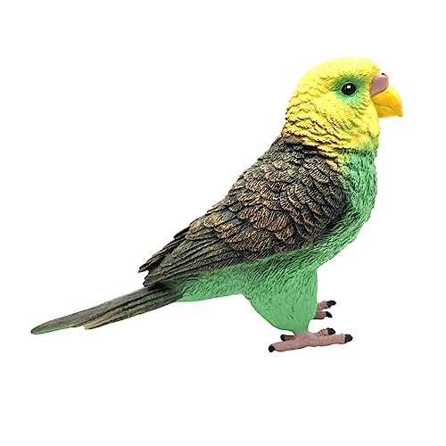 FRCOLOR Budgerigar Modell Realistischer Kunststoff Papagei mit Lebendigen Farben Kognitives für Bruchsicher und Langlebig für Vogel Dekorationen FRCOLOR Budgerigar Modell Realistischer Kunststoff Papagei mit Lebendigen Farben Kognitives für Bruchsicher und Langlebig für Vogel Dekorationen von FRCOLOR