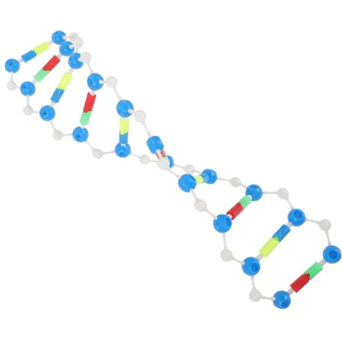 FRCOLOR DNA Doppelhelix Modellbausatz Bildungsinstrument für und Chemie DIY Komponenten für Schüler Interaktive Lernhilfe zur DNA Struktur für Unterricht und Wissenschaftliche Experimente von FRCOLOR