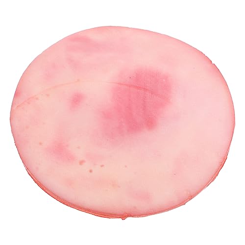 FRCOLOR Dekoratives Fake Mittagessen Modell Realistisches Kunstfleisch für Küche Fotografie und Party Dekoration Stück von FRCOLOR