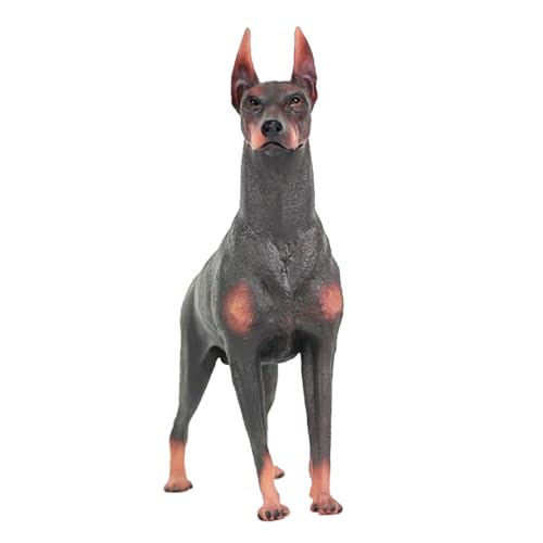 FRCOLOR Dobermann Hund Figur Statue Realistisches Tiermodell für Kognitive Spielzeuge Pädagogisches Hochwertige Desktop Dekoration aus Robustem FRCOLOR Dobermann Hund Figur Statue Realistisches Tiermodell für Kognitive Spielzeuge Pädagogisches Hochwertige Desktop Dekoration aus Robustem von FRCOLOR