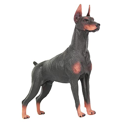 FRCOLOR Dobermann Tierfigur Realistische Hundestatue als Lernspielzeug für Leichtes Modell für Dekoration für Mädchen FRCOLOR Dobermann Tierfigur Realistische Hundestatue als Lernspielzeug für Leichtes Modell für Dekoration für Mädchen von FRCOLOR