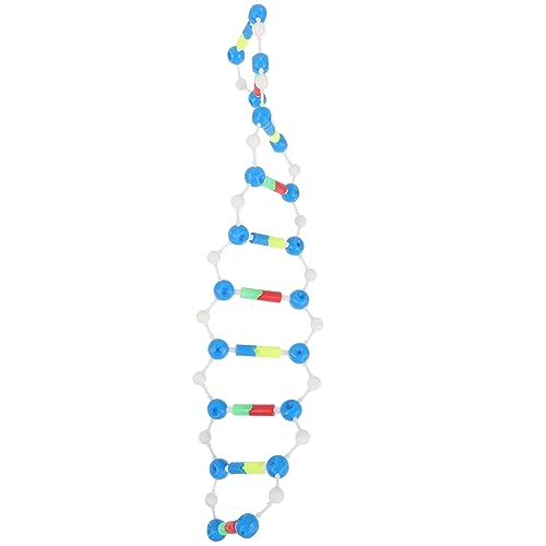 FRCOLOR Doppelhelix DNA Modellbau Kit Lehrmittel für Biologieunterricht Selbstmontierbar für Klassenzimmer und Wissenschaftliche Experimente Detailreich und Bruchsicher Fördert von FRCOLOR