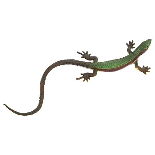 FRCOLOR Eidechsen Spielzeugfigur aus Kunststoff Realistisches Modell für Lernspielzeug oder Gartendekoration Leicht und Tragbar für Spiel und Simulation von FRCOLOR
