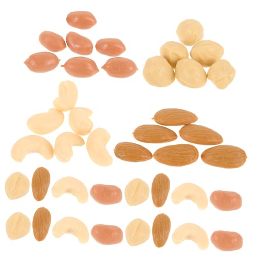 FRCOLOR Erdnüsse Cashews Haselnüsse Mandeln für Puppenhaus und Wohnraumgestaltung von FRCOLOR