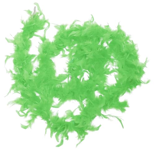 FRCOLOR Federstreifendekoration Party Hochzeit Boa- für Frauen trimmen Kostüm Boa-Zubehör zum Selbermachen Boa-Flapper-Zubehör Boa nähen Boa zum Basteln Light Green FRCOLOR Federstreifendekoration Party Hochzeit Boa- für Frauen trimmen Kostüm Boa-Zubehör zum Selbermachen Boa-Flapper-Zubehör Boa nähen Boa zum Basteln Light Green von FRCOLOR