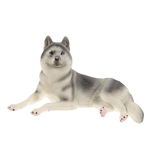 FRCOLOR Hochwertige Simulation Husky Hund Figurine Realistische Tierfigur für Kinderzimmerdekoration Lernspielzeug Kreativität und Vorstellungskraft FRCOLOR Hochwertige Simulation Husky Hund Figurine Realistische Tierfigur für Kinderzimmerdekoration Lernspielzeug Kreativität und Vorstellungskraft von FRCOLOR