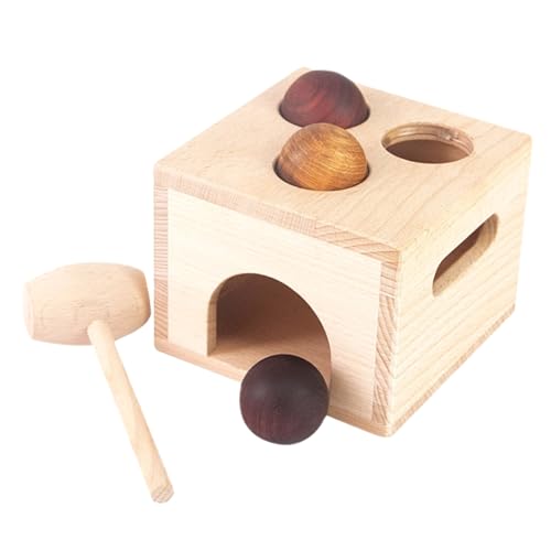FRCOLOR Holz Ball Drop Montessori Pädagogisch Feinmotorik Fördern Motorik Lernspielzeug für Kleinkinder Jahre Hand Auge Koordination Verbessern von FRCOLOR