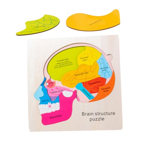 FRCOLOR Holzpuzzle Gehirnstruktur Lernspielzeug Mehrlagiges Gehirn Puzzle für Frühkindliche Bildung Fördert Kognitive Entwicklung und Konzentration Pädagogisches Steckspiel für Jungen und FRCOLOR Holzpuzzle Gehirnstruktur Lernspielzeug Mehrlagiges Gehirn Puzzle für Frühkindliche Bildung Fördert Kognitive Entwicklung und Konzentration Pädagogisches Steckspiel für Jungen und von FRCOLOR