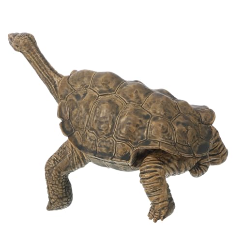 FRCOLOR Kleine Schildkrötenfigur Realistische Simulationstierskulptur Dekorative Schildkröte für Aquarien und Lernspielzeug für Garten und Kinderbildung Braun FRCOLOR Kleine Schildkrötenfigur Realistische Simulationstierskulptur Dekorative Schildkröte für Aquarien und Lernspielzeug für Garten und Kinderbildung Braun von FRCOLOR