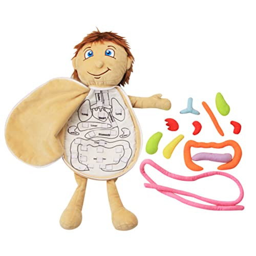 FRCOLOR Körperorgan Puzzle für Plüsch Lernspielzeug für Vorschulkinder für Frühkindliche Bildung zu Besonderen Anlässen FRCOLOR Körperorgan Puzzle für Plüsch Lernspielzeug für Vorschulkinder für Frühkindliche Bildung zu Besonderen Anlässen von FRCOLOR