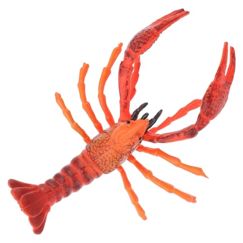 FRCOLOR Kreatives Hummer Lifelike Dekoration für Kognitives Lernspielzeug für Partys Spiel und Fotografie von FRCOLOR