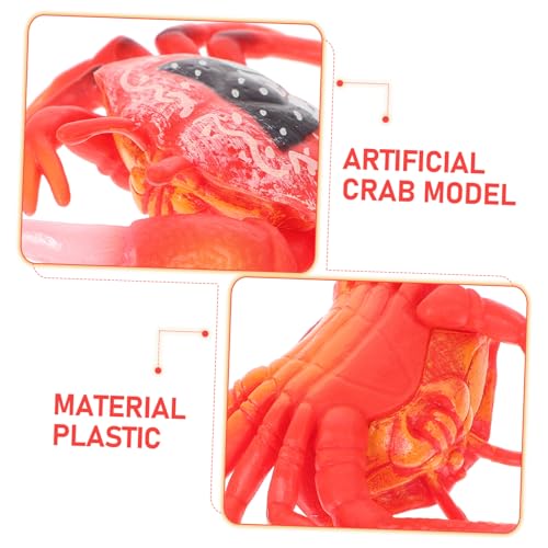FRCOLOR Künstliche Krabbenfigur Lebensechte Simulation Langlebiges Kunststoffmodell Dekoratives Meereshaustier für Aquarium Terrarium Büro und Kinderzimmer von FRCOLOR